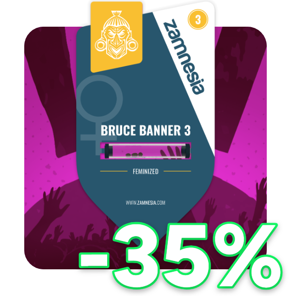 Bruce Banner 3